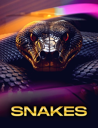 3-SNAKES-winadaa.webp
